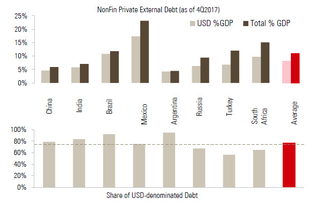 Chart 6: Most external debt is held in US dollars